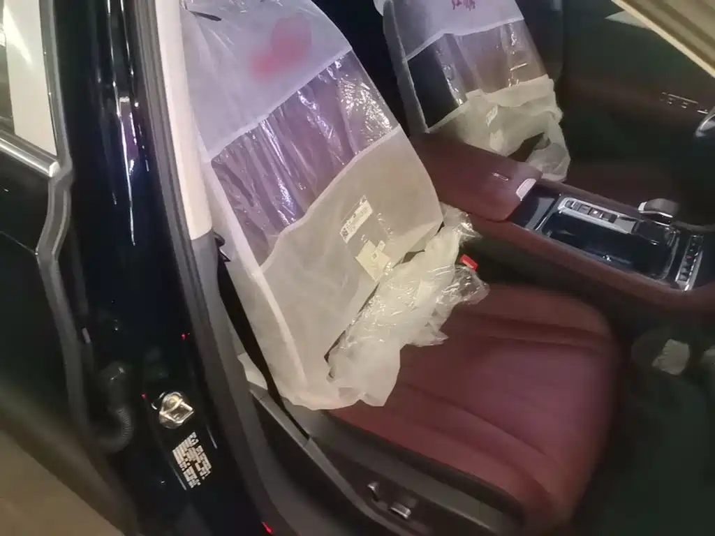 Hongqi Hongqi H5 PHEV — миниатюра 25