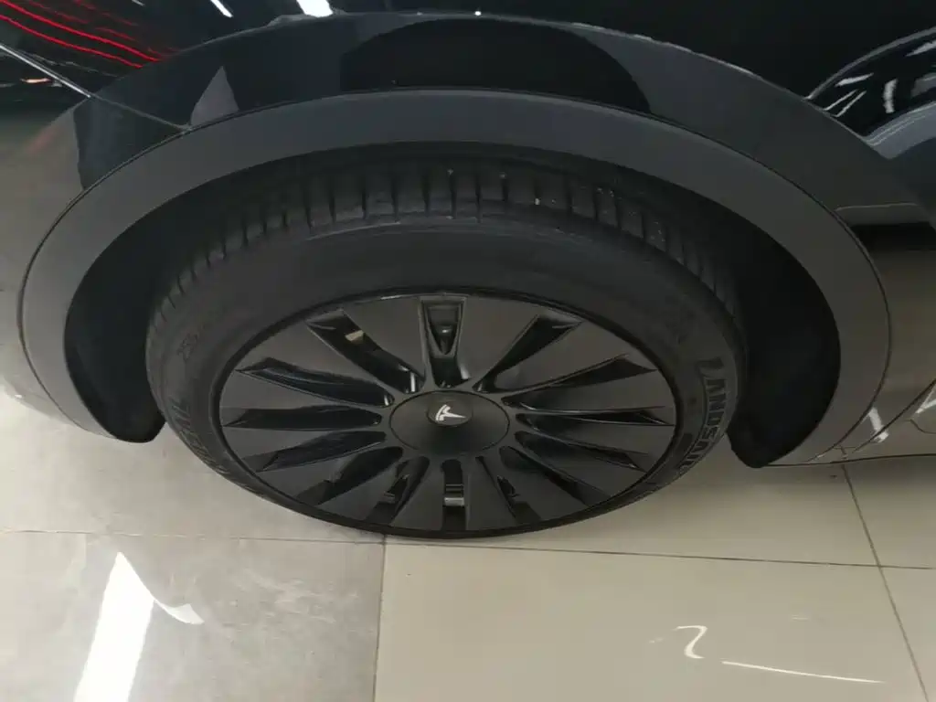 Tesla Model Y — миниатюра 23