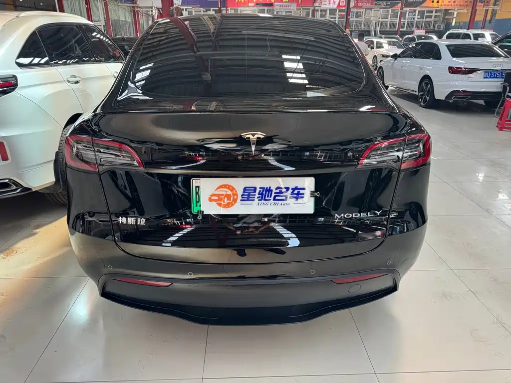 Tesla Model Y — миниатюра 14
