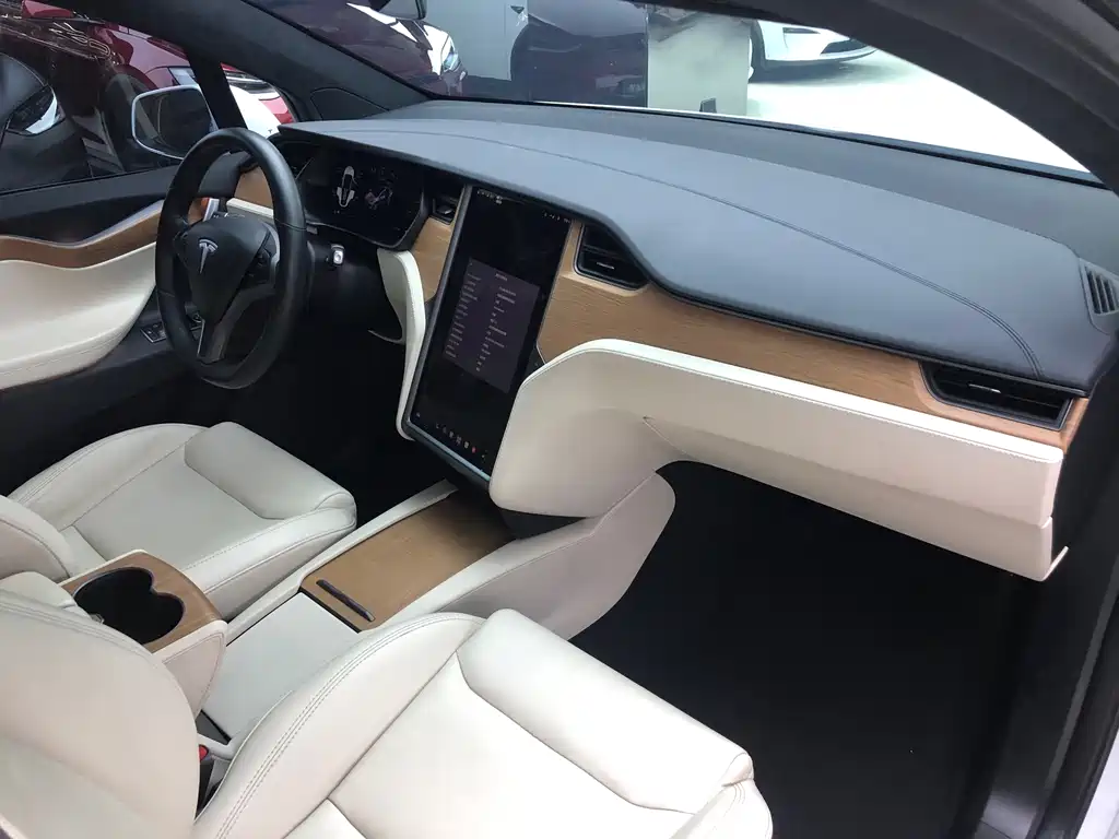 Tesla Model X — миниатюра 13