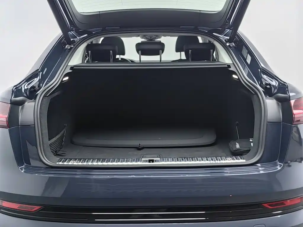Audi e-tron (Import) — миниатюра 16