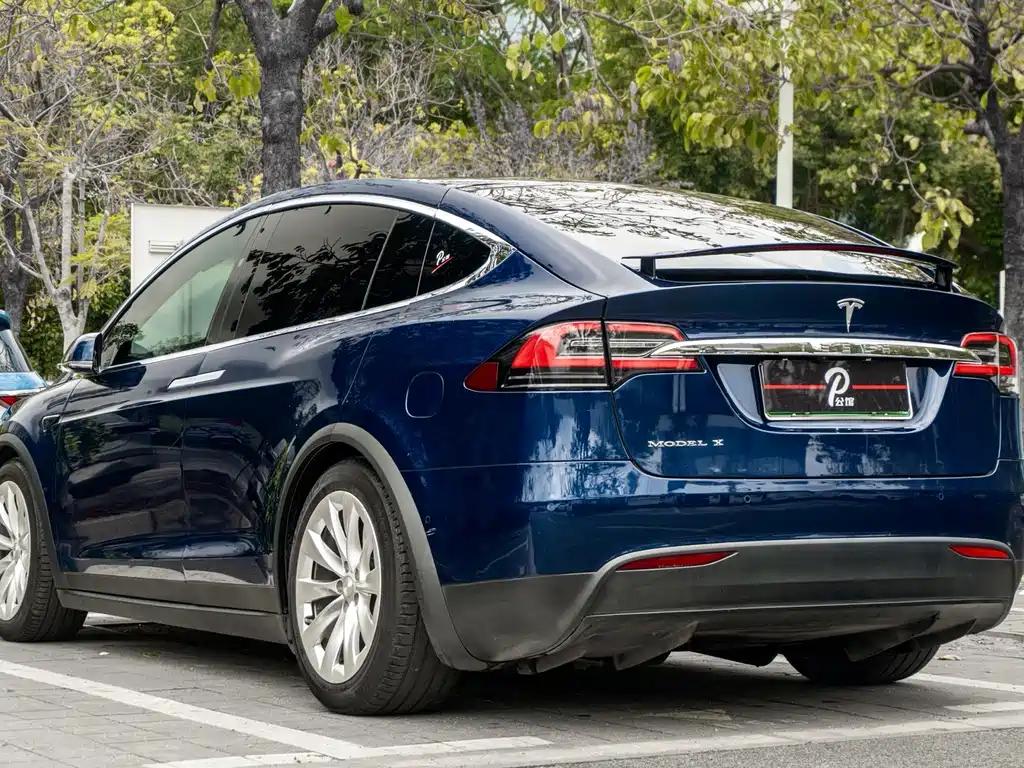 Tesla Model X — миниатюра 6