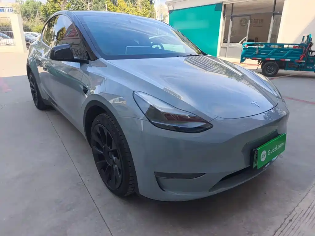 Tesla Model Y — миниатюра 4