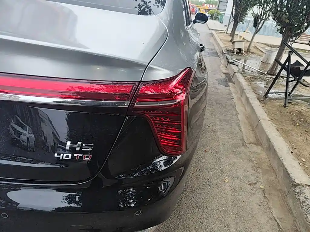 Hongqi Hongqi H5 — миниатюра 8