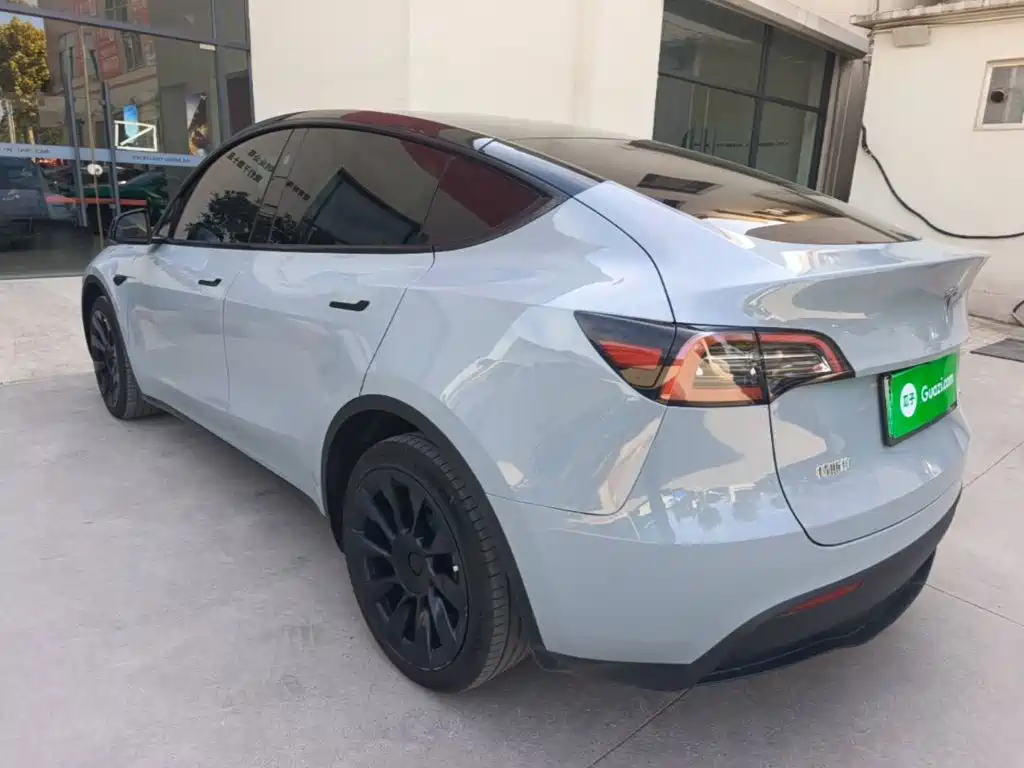 Tesla Model Y — миниатюра 5