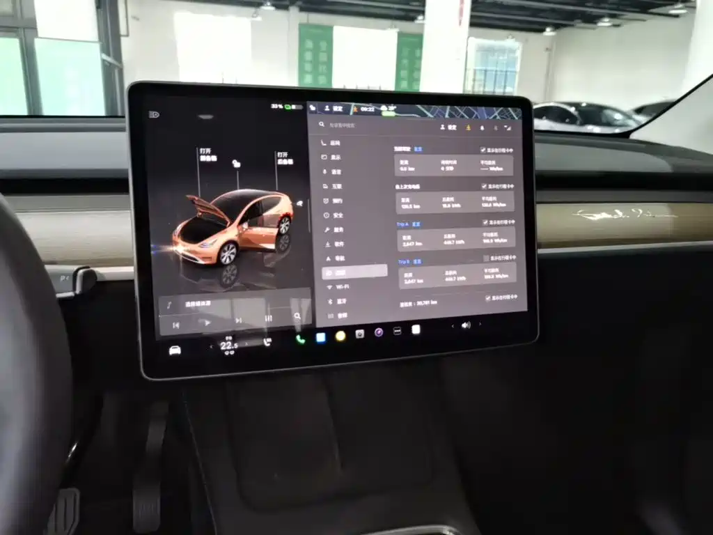 Tesla Model Y — миниатюра 13