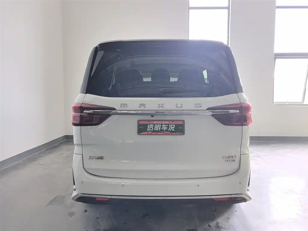 SAIC MAXUS CHASE G20