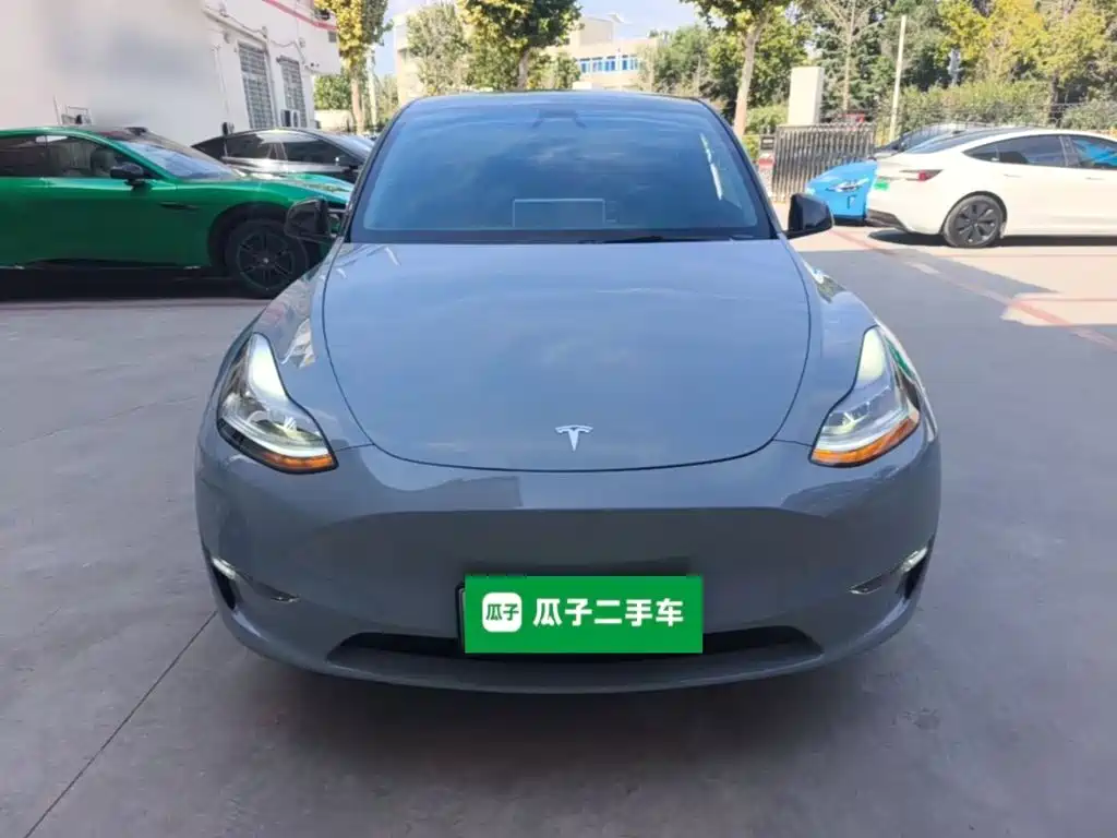 Tesla Model Y — миниатюра 3