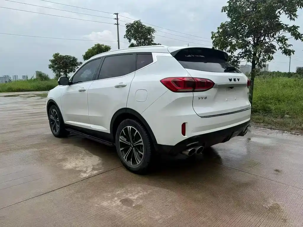 Wey Wey VV6 — миниатюра 9