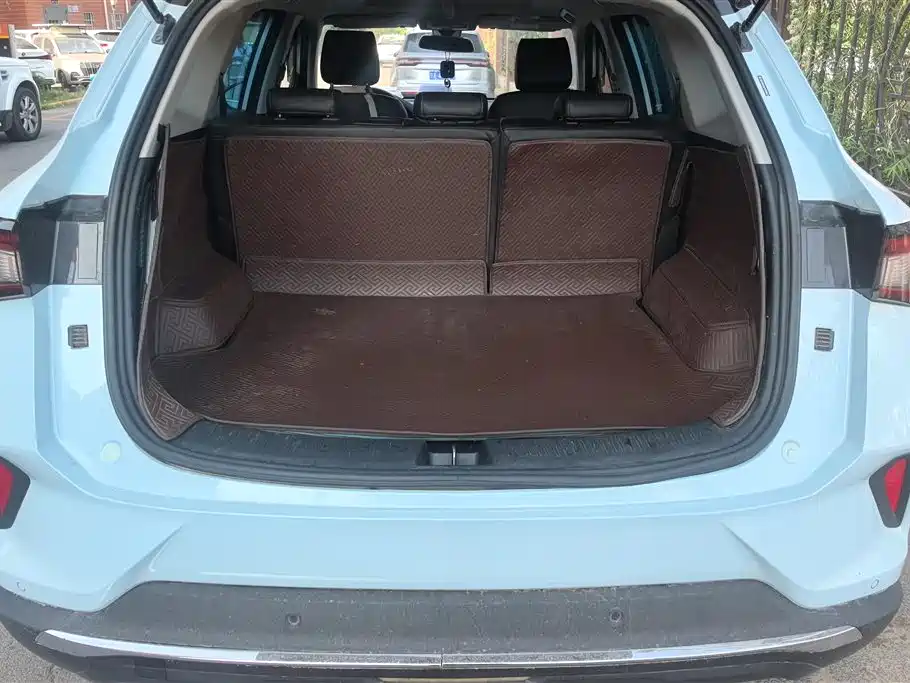 Wuling Xingchen 2022 2.0L DHT
