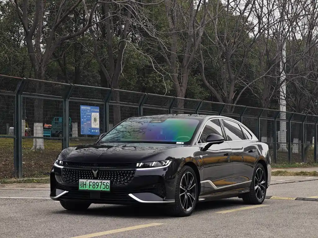 Voyah Passion 2024 PHEV Flagship