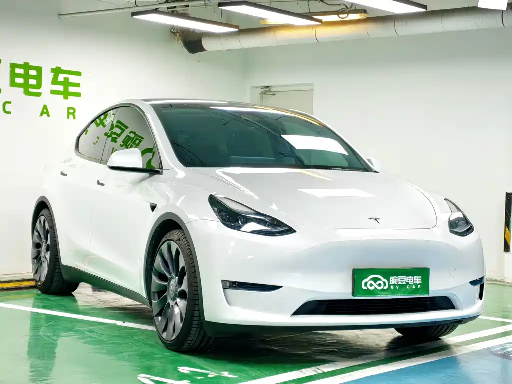 Tesla Model Y — миниатюра 5