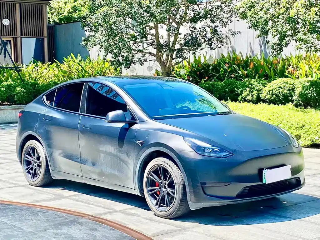 Tesla Model Y — миниатюра 3