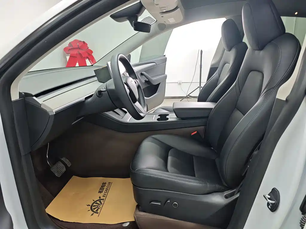 Tesla Model Y — миниатюра 43