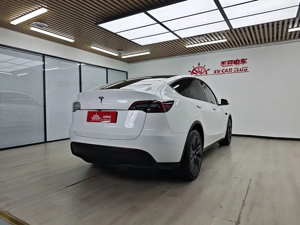 Tesla Model Y — миниатюра 4