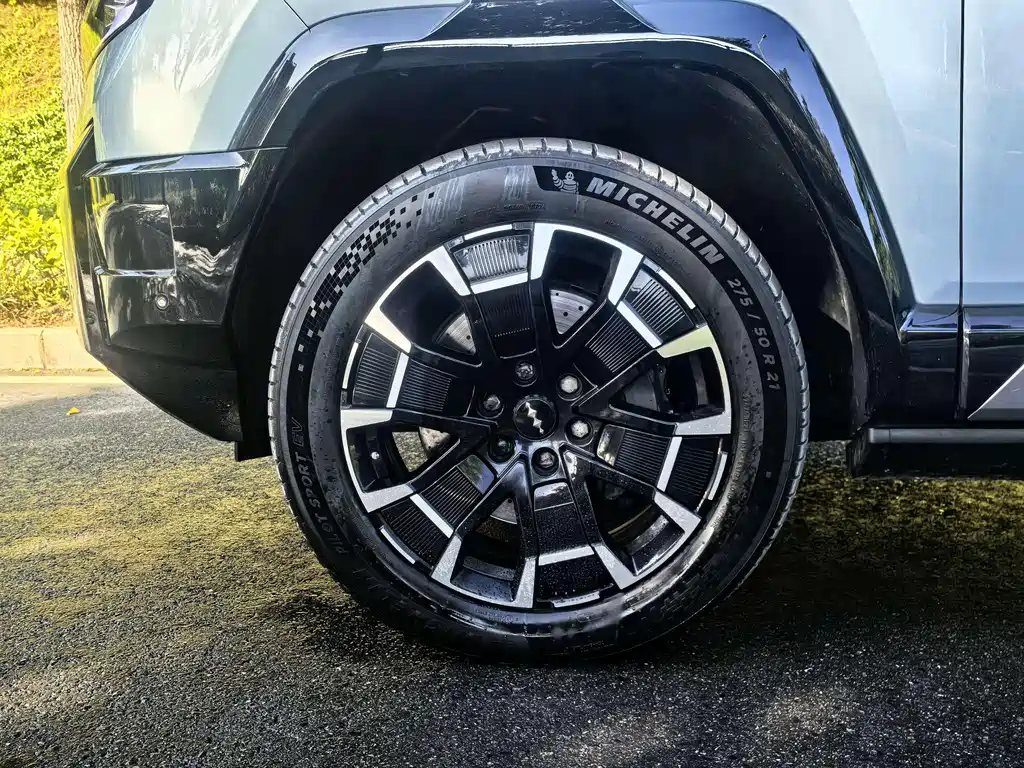 FANG CHENG BAO LEOPARD 8