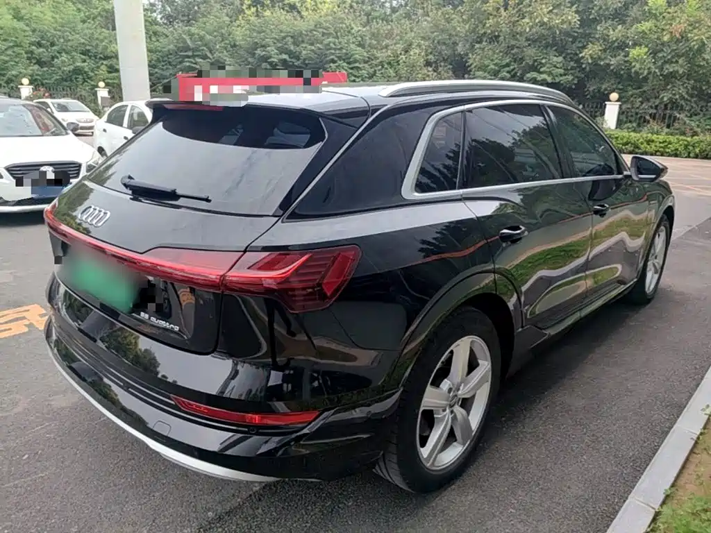 Audi e-tron (Import) — миниатюра 7
