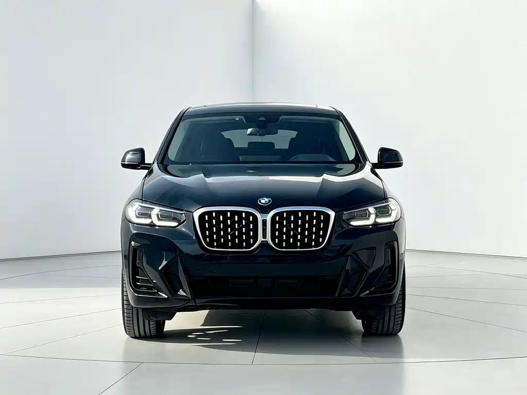 BMW X4 — миниатюра 2