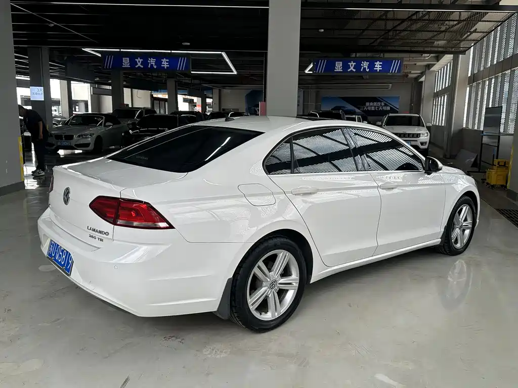 Volkswagen Lamando — миниатюра 5