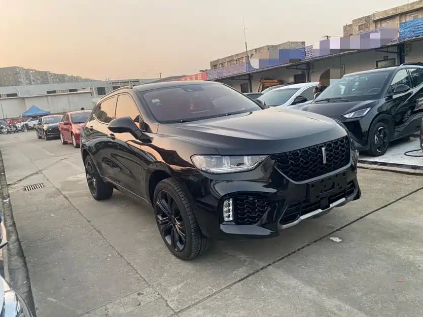 WEI PAI WEI BRAND VV5