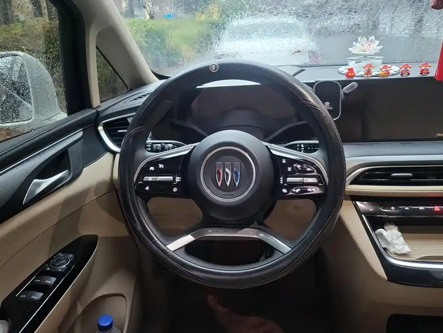Buick GL8 — миниатюра 15