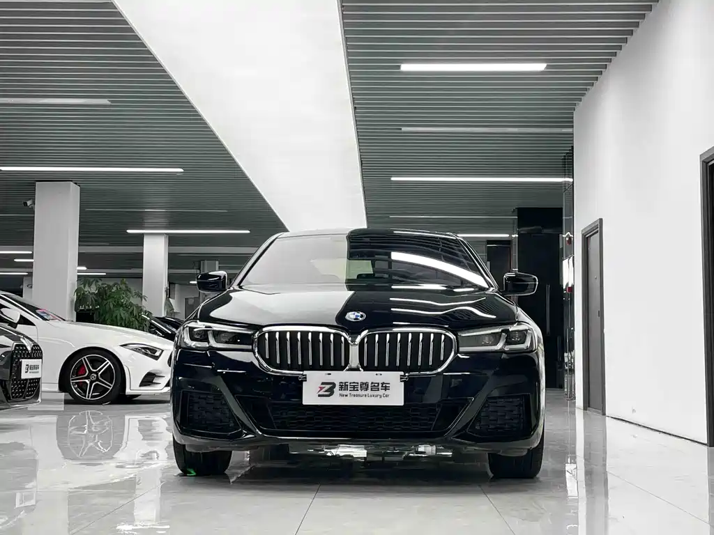 BMW 5 Series — миниатюра 2