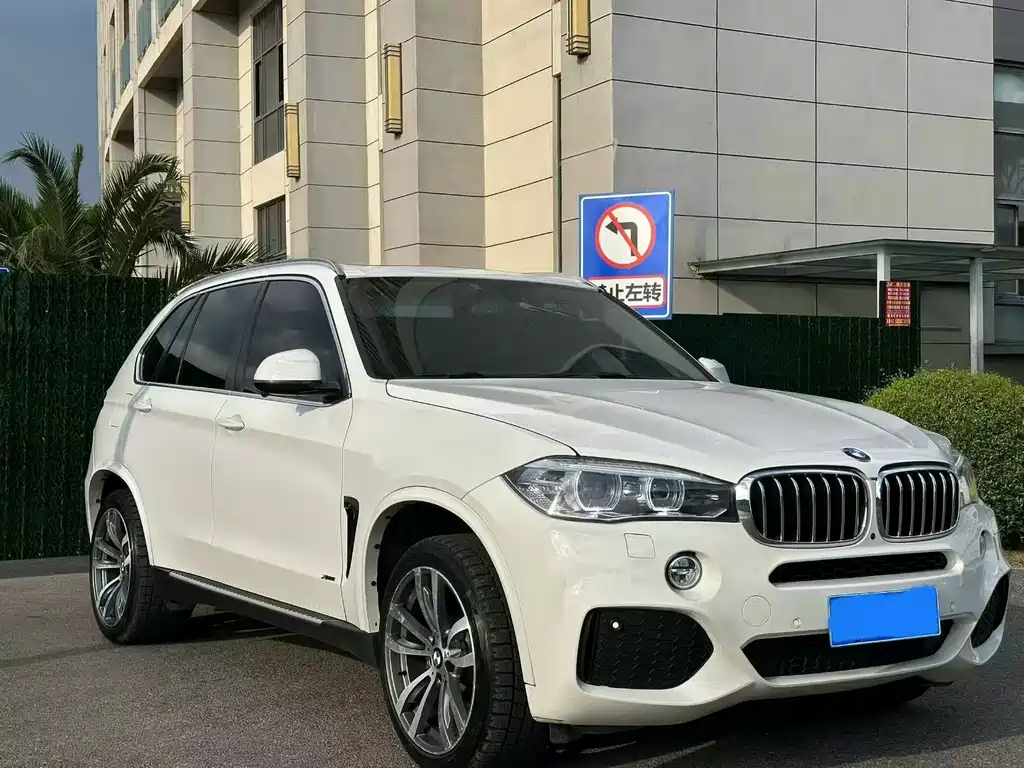 BMW X5 (Import) — миниатюра 3