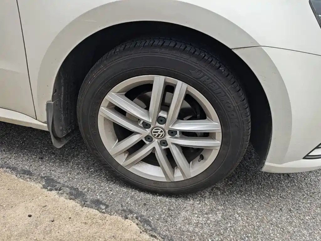 Volkswagen Gran Lavida — миниатюра 12