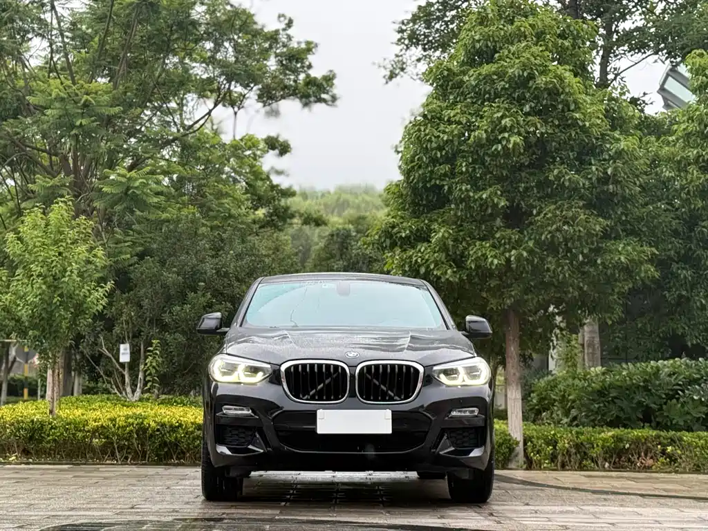 BMW X4 2019 xDrive25i M Sport