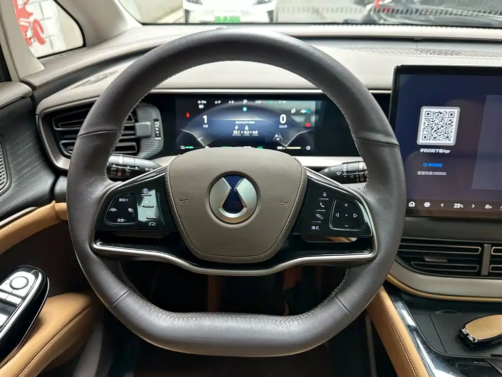 Denza Denza D9 — миниатюра 11
