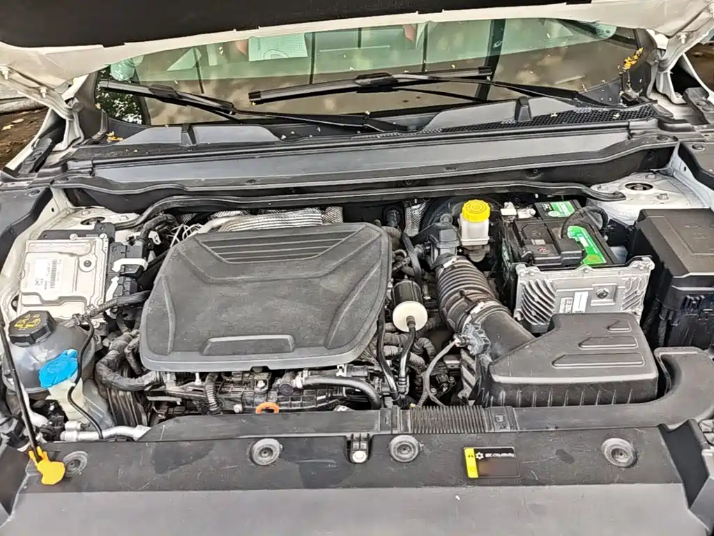 Haval Chitu — миниатюра 20