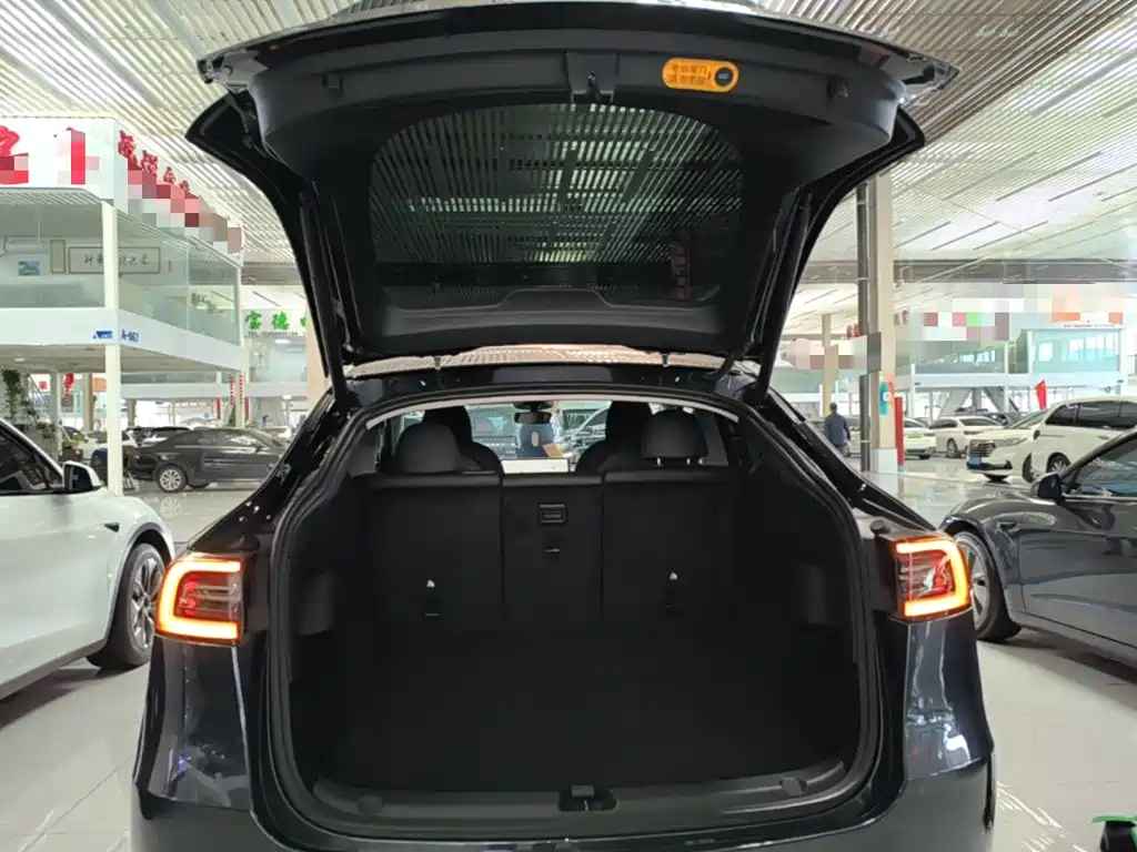Tesla Model Y — миниатюра 19