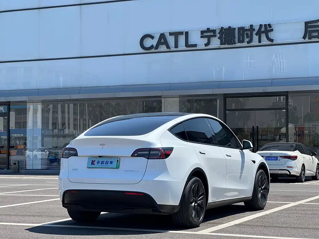 Tesla Model Y — миниатюра 3