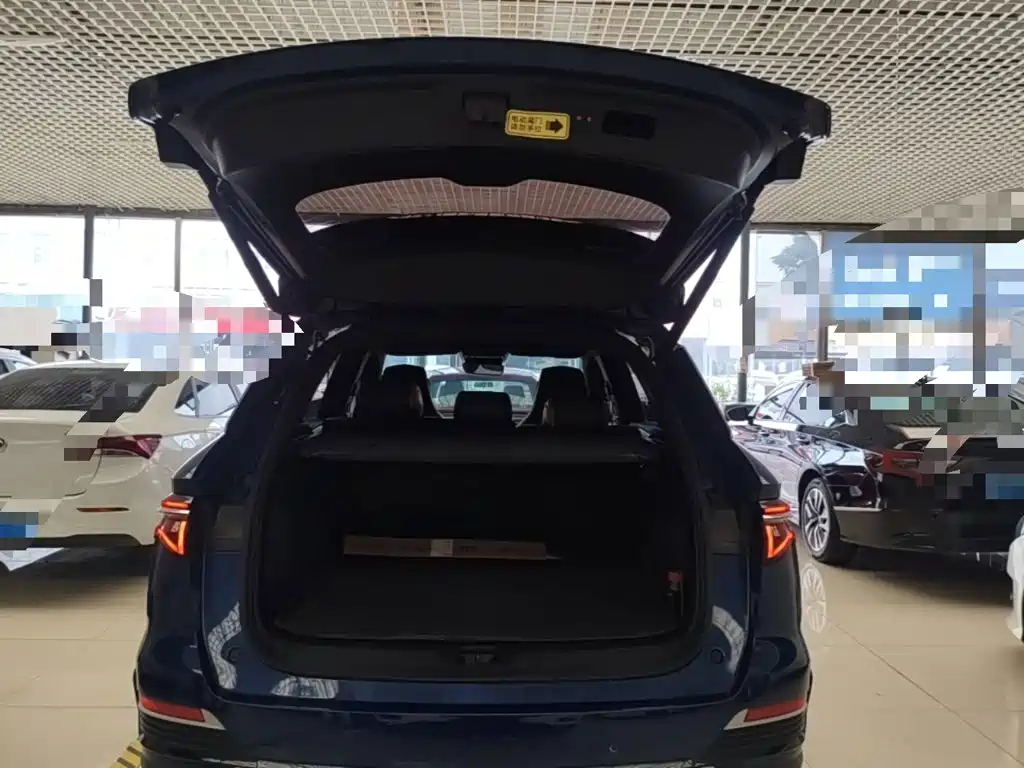 BYD Pro New Energy — миниатюра 19
