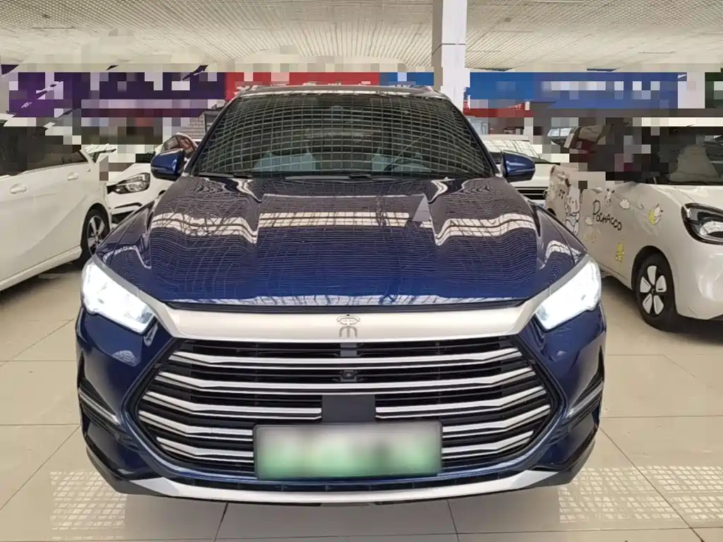 BYD Pro New Energy — миниатюра 3