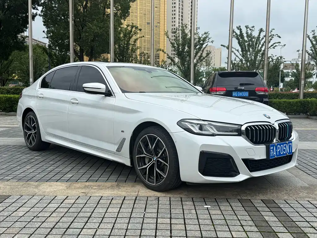BMW 5 Series 5 2021 530Li Premium M Sport