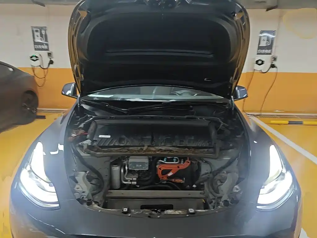 Tesla Model Y — миниатюра 20