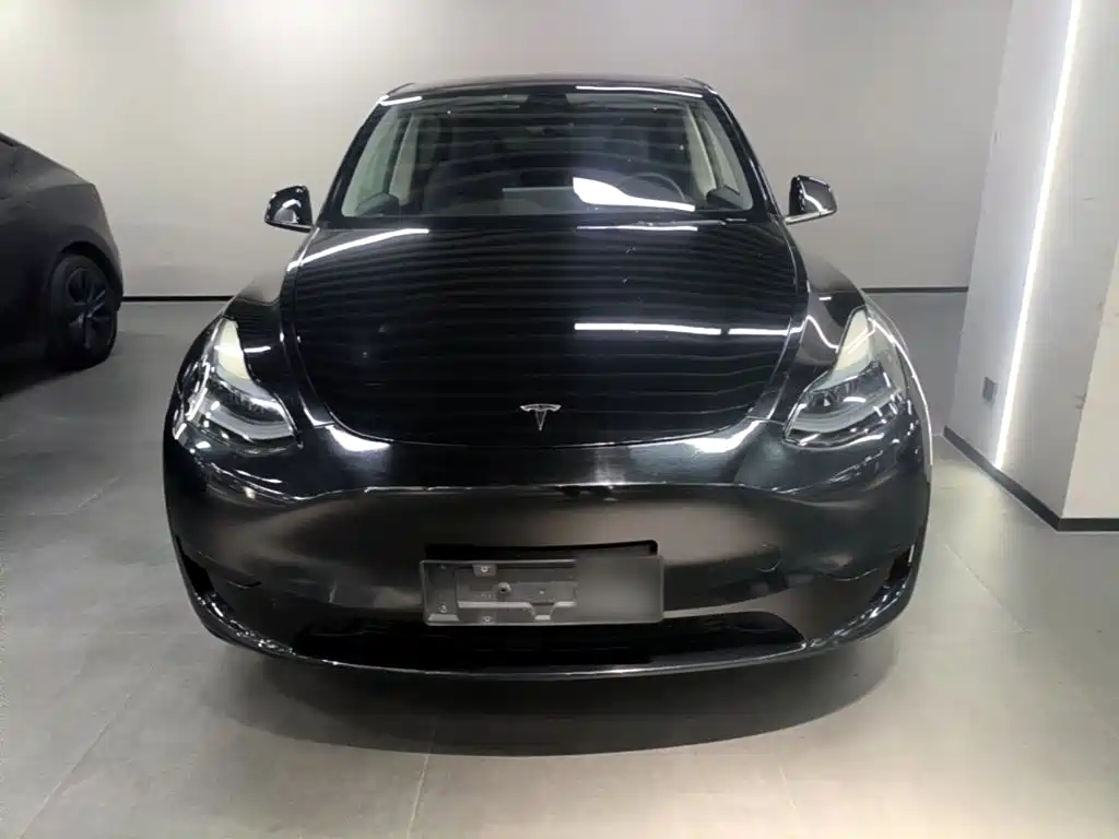Tesla Model Y — миниатюра 3