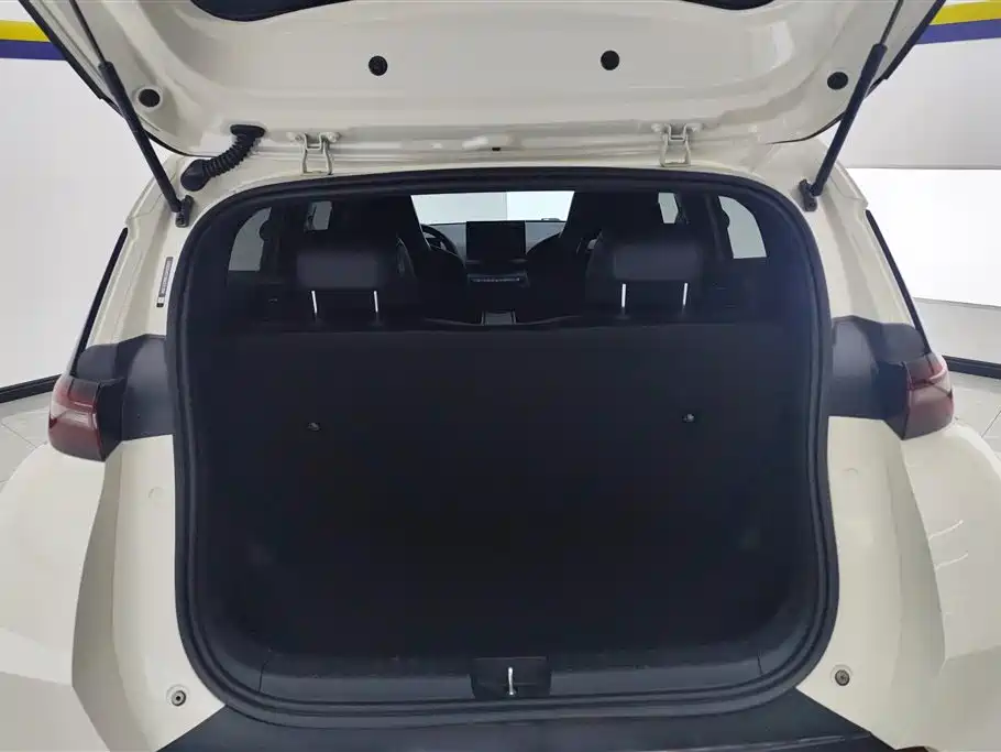 BYD Seagull 2024 305km