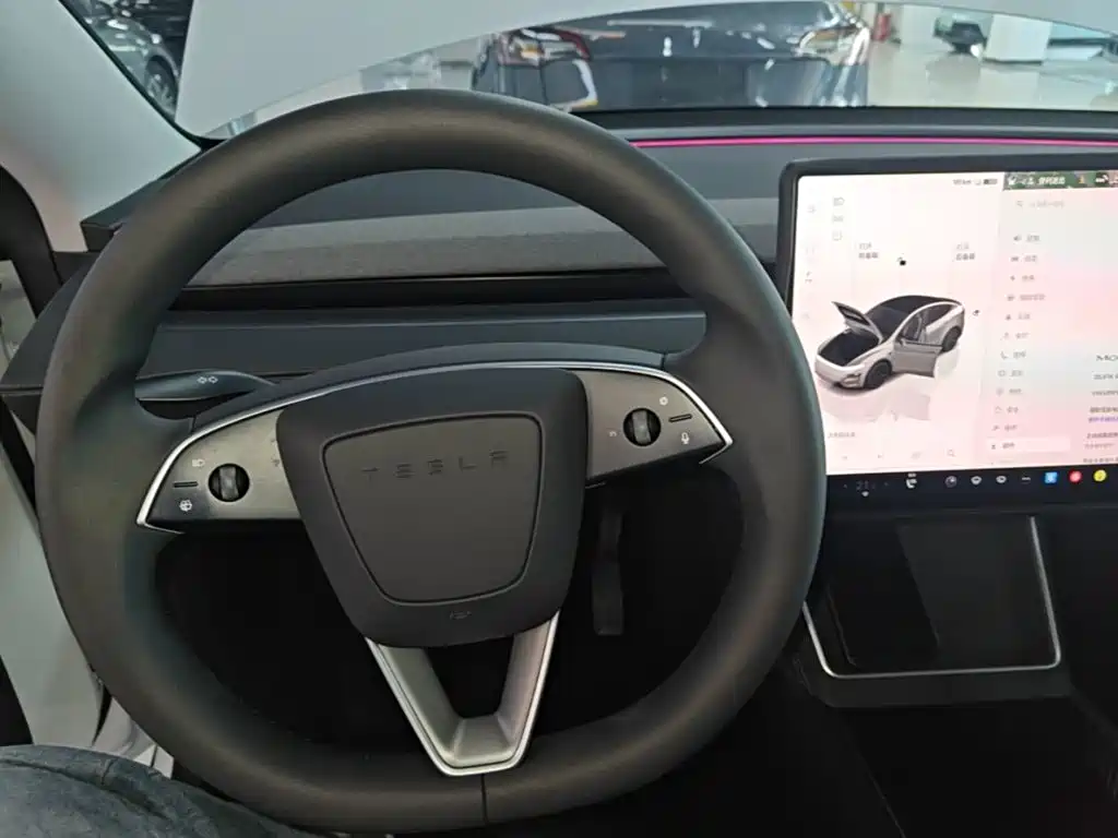Tesla Model Y — миниатюра 11