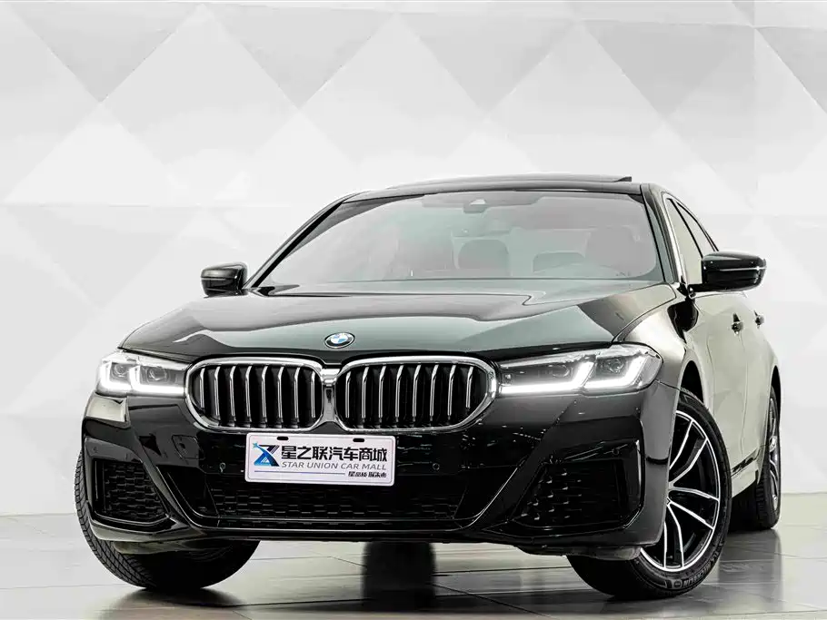 BMW 5 Series — миниатюра 3