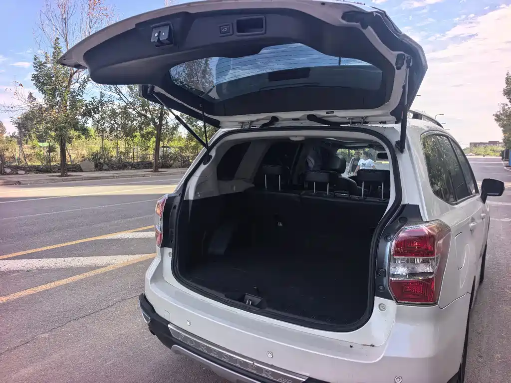 Subaru Forester — миниатюра 7