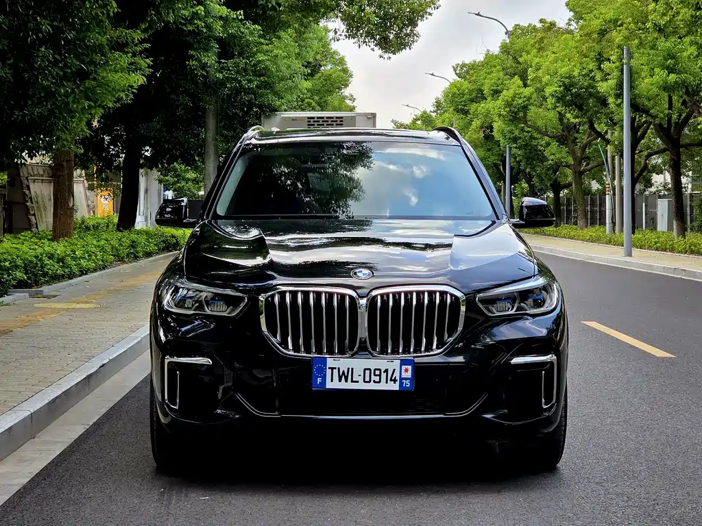 BMW X5 — миниатюра 2