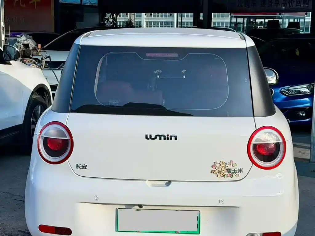 Qiyuan Lumin — миниатюра 2