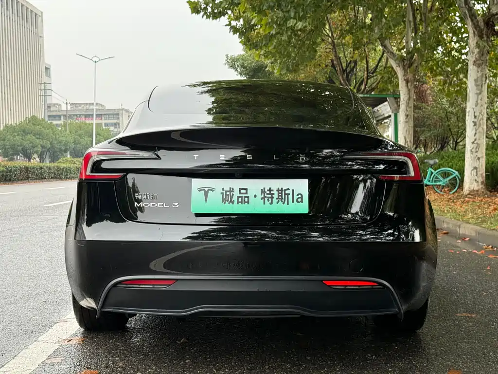 Tesla Model 3 — миниатюра 4