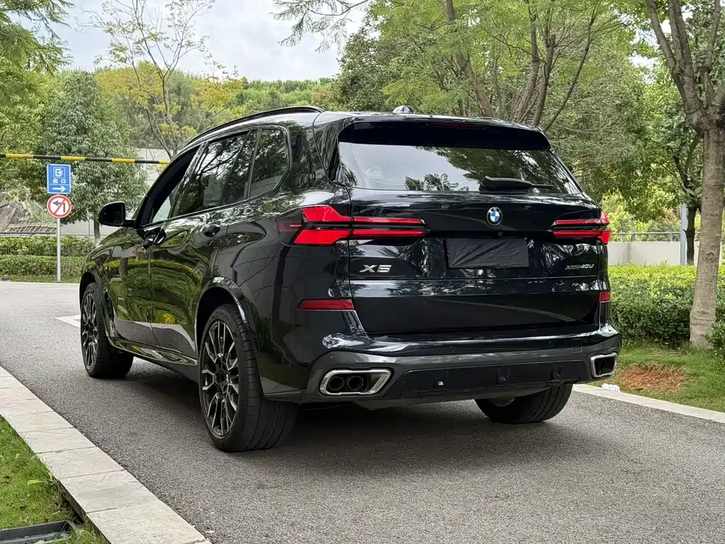 BMW X5 — миниатюра 7