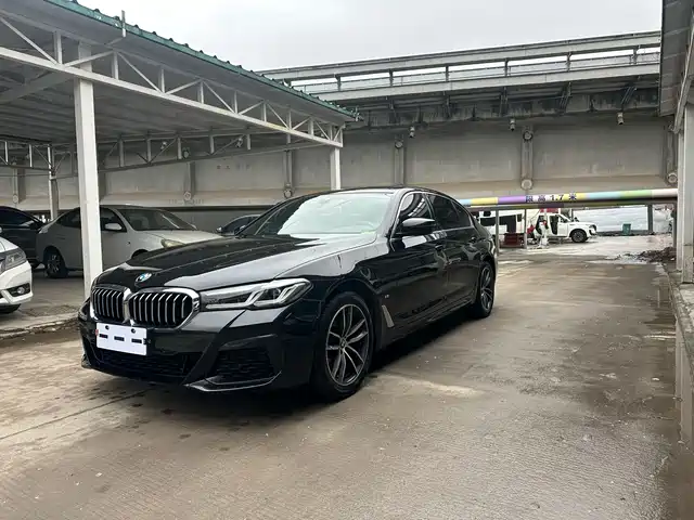 BMW 5 SERIES