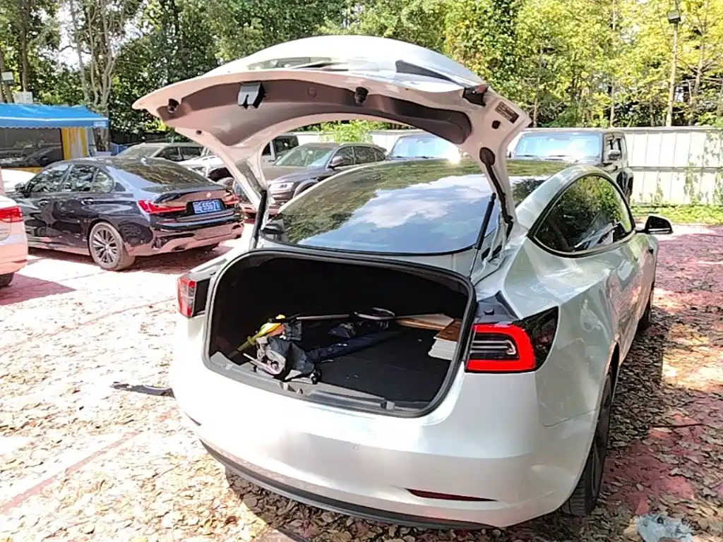 Tesla Model 3 — миниатюра 19