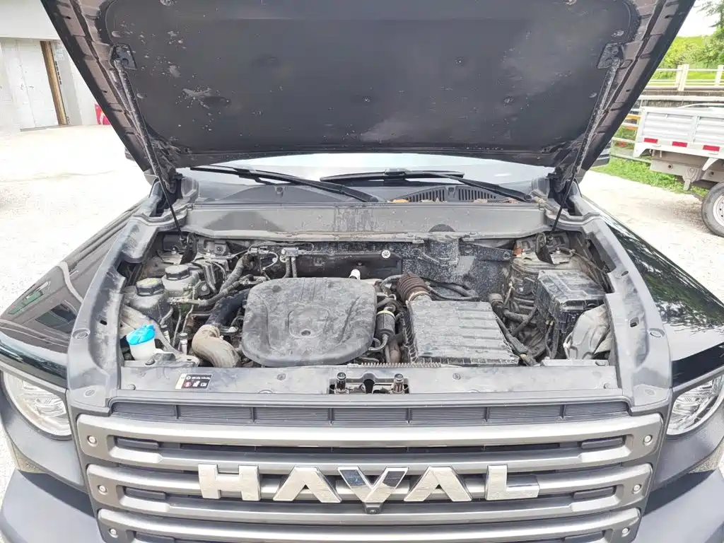 Haval Menglong New Energy — миниатюра 16