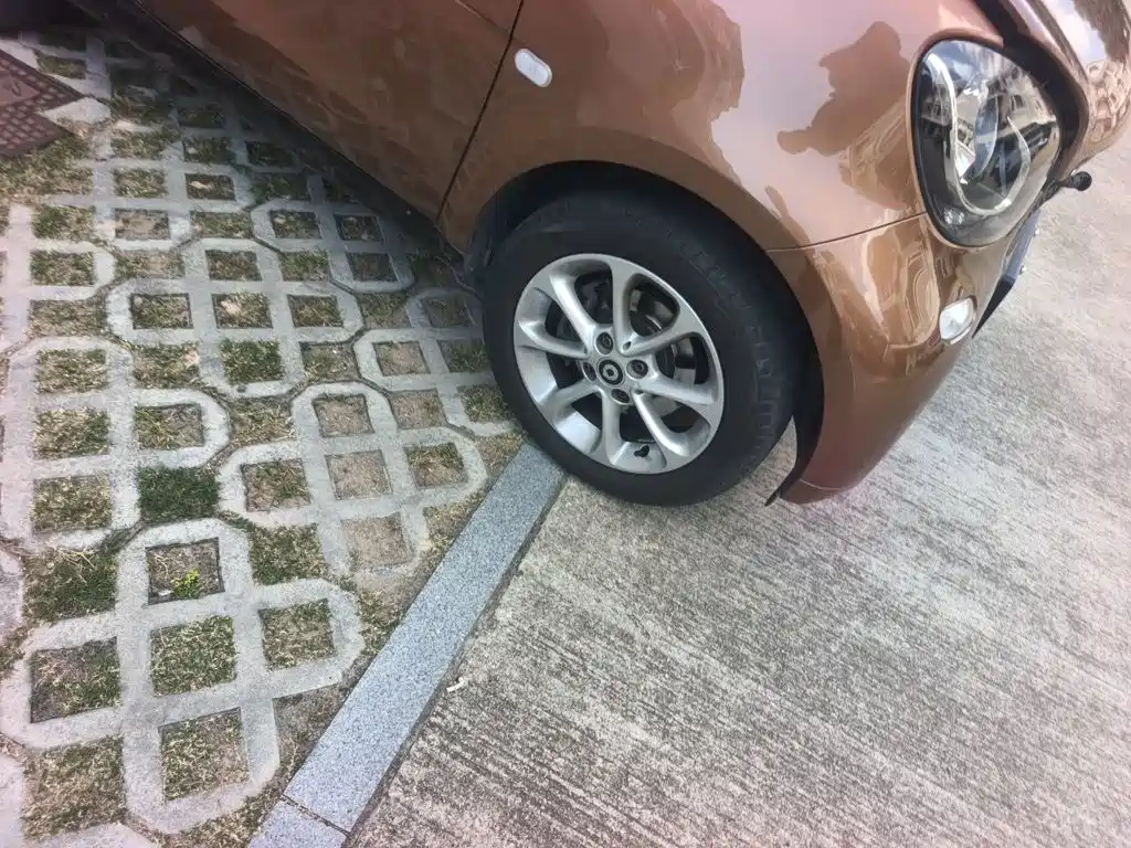 smart Smart Fortwo — миниатюра 24
